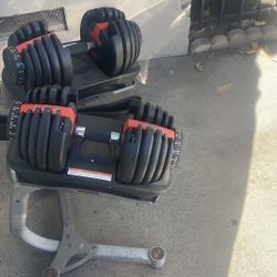Work Out Equipment 