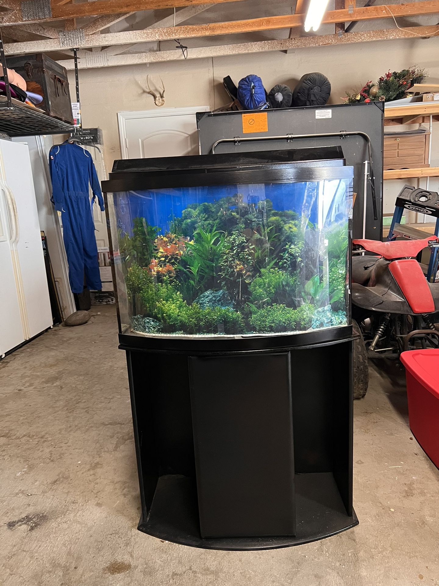 40 Gallon Bow Front Aquarium