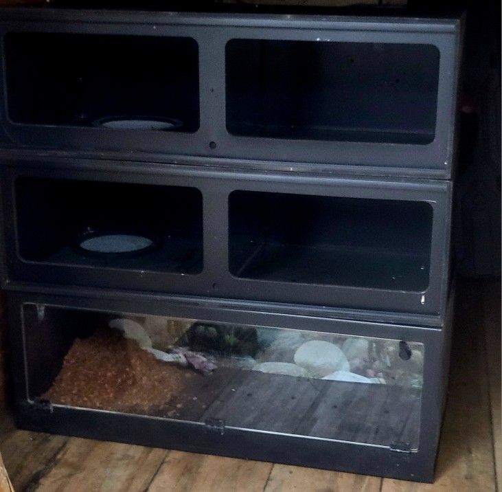 3 - 4 Foot Snake/reptile Enclosures