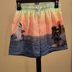BRAND NEW BOYS TRUNKS