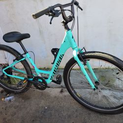 Specialized Roll Hybrid Comfort 