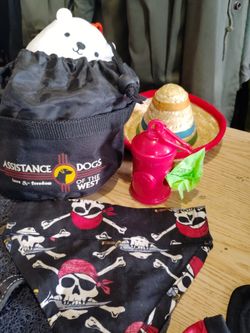 Dog Accessories