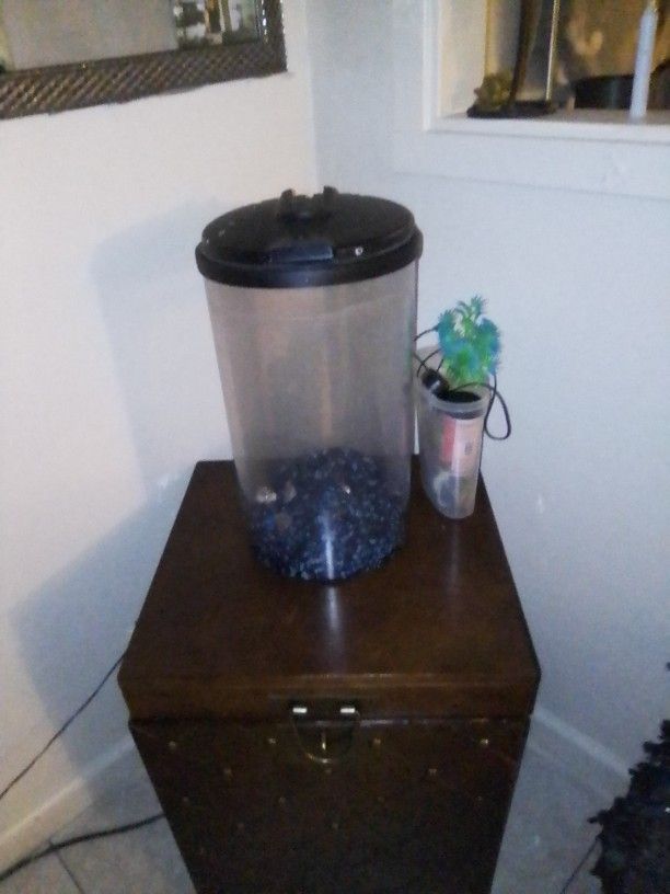 8 Gallon Fish Tank 