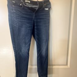 American Eagle Size 10 Women Jeans Gently Use