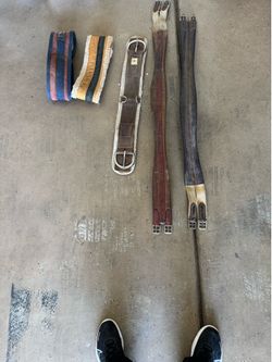 Horses