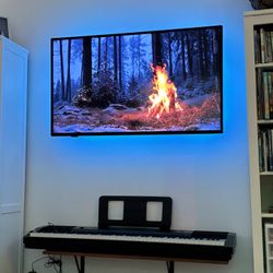 51 Inch Flatscreen Insignia TV 