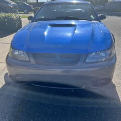 2000 Ford Mustang