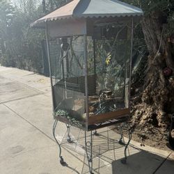 Bird Cage