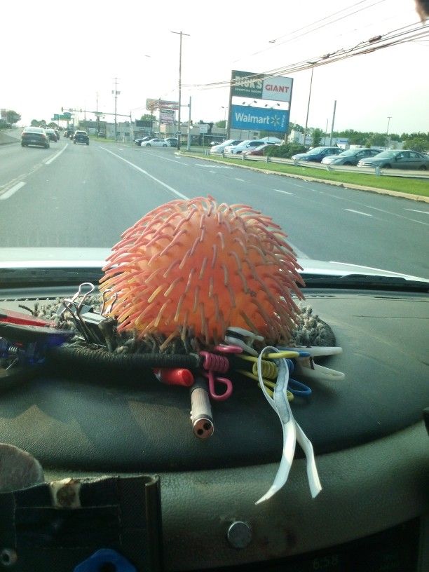 Orange Bowl