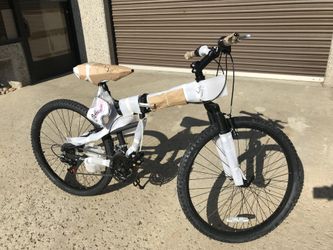 Folding Bike
