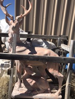 Marble deer statue