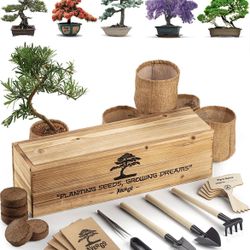 Bonsai Tree Kit