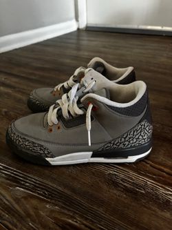 Air Jordan 3 Cool Grey Sneakers