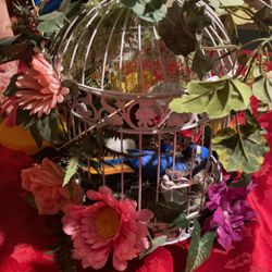 Bird Cage With Flowers 