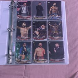 WWE Cards: Brands Topps