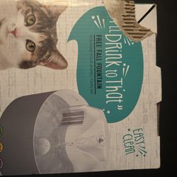 Kitty Fountain 