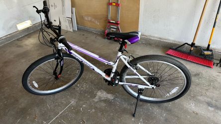 Bamcbase Lavender Bike