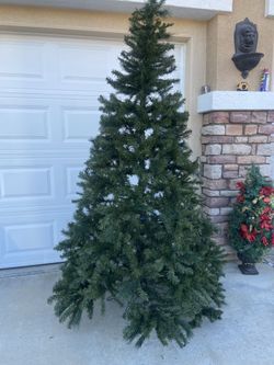 Nonlit 8 Ft  Tree