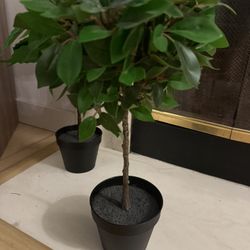 Set Of 3 IKEA Decorative Plants