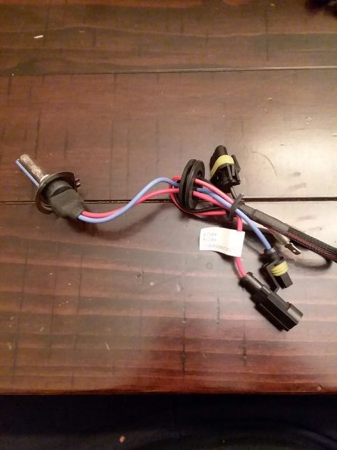 H 7 800k HID Bulb