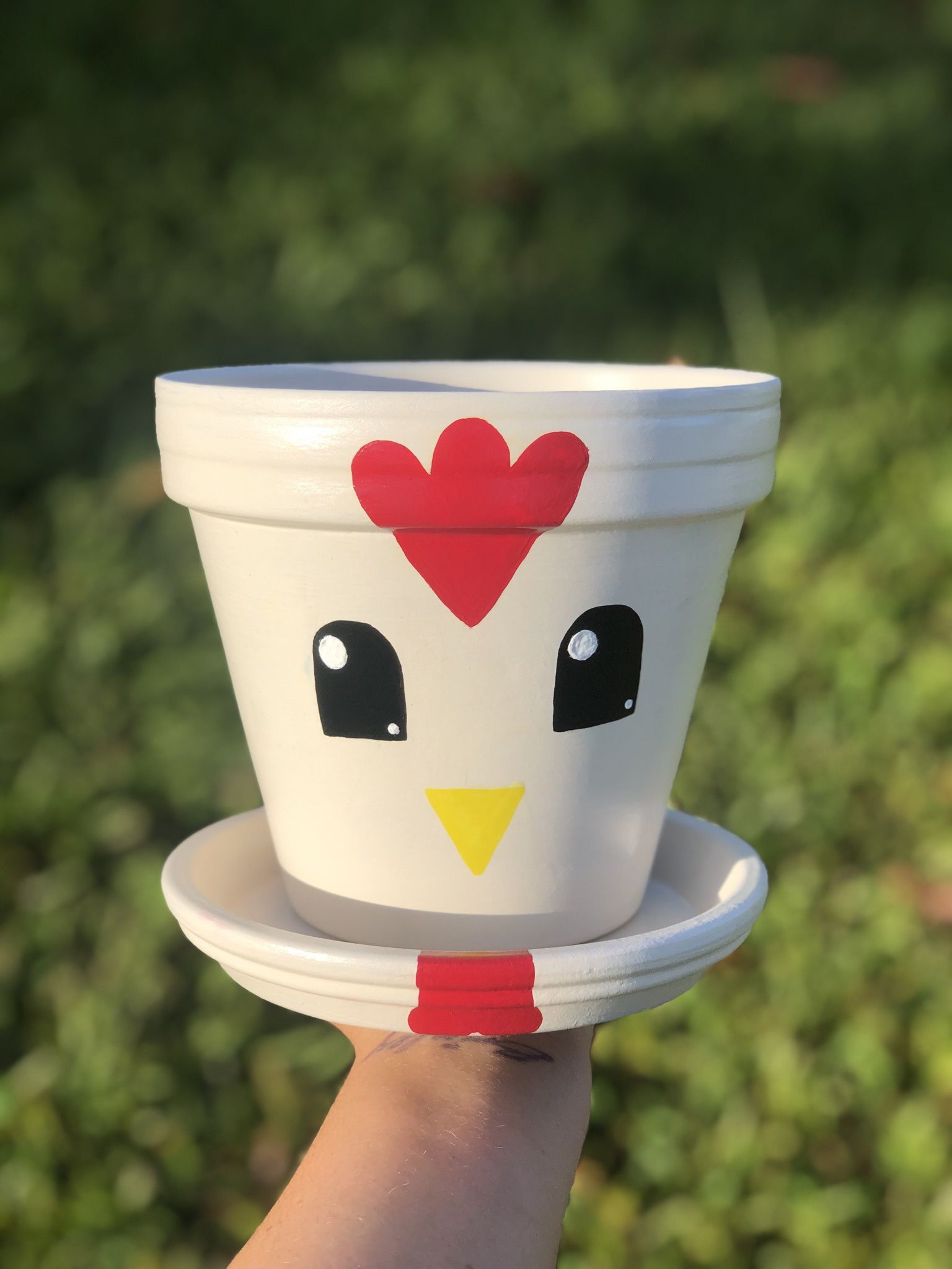 Chicken Terra-Cotta Flower Pot