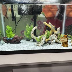 20 Gallon Fish Tank With 2 Filters And Accessories 