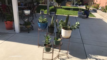 Plant holders three section.  Both $15.