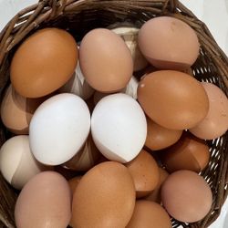 FARM FRESH EGGS - $6 A Dozen