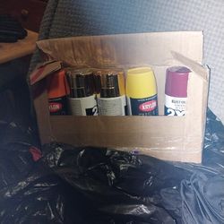 Krylon Spray Paint 12oz