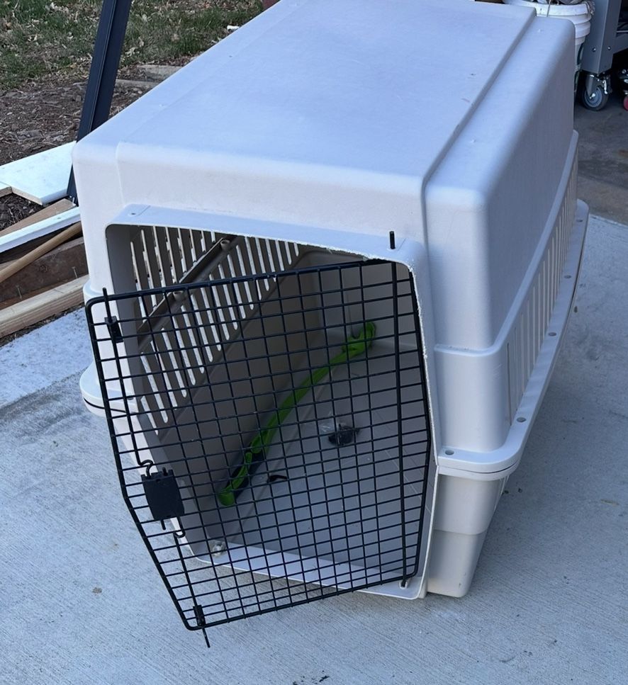 Large dog Kennel