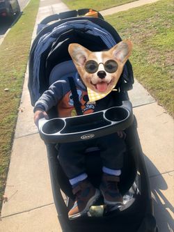 Graco stroller