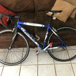 Specialized Bike Medium