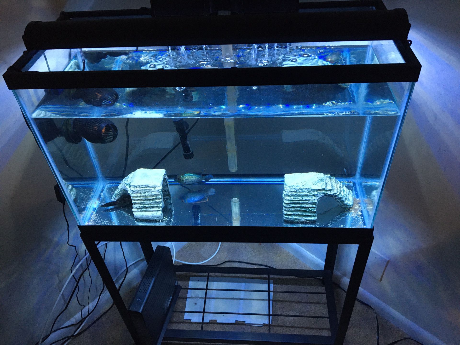30g TALL COMPLETE FISH TANK WITH EXTRAS ONLY ONE YEAR OLD FOR SALE
