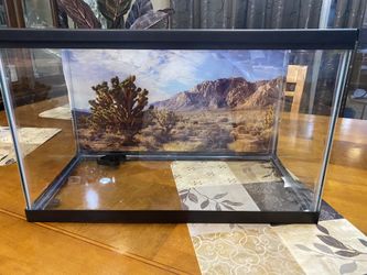 10 Gallon Reptile Tank With background