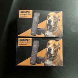 Dog Training Collar 