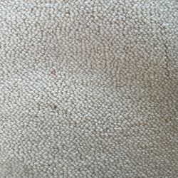 Free All Natural Wool Carpet