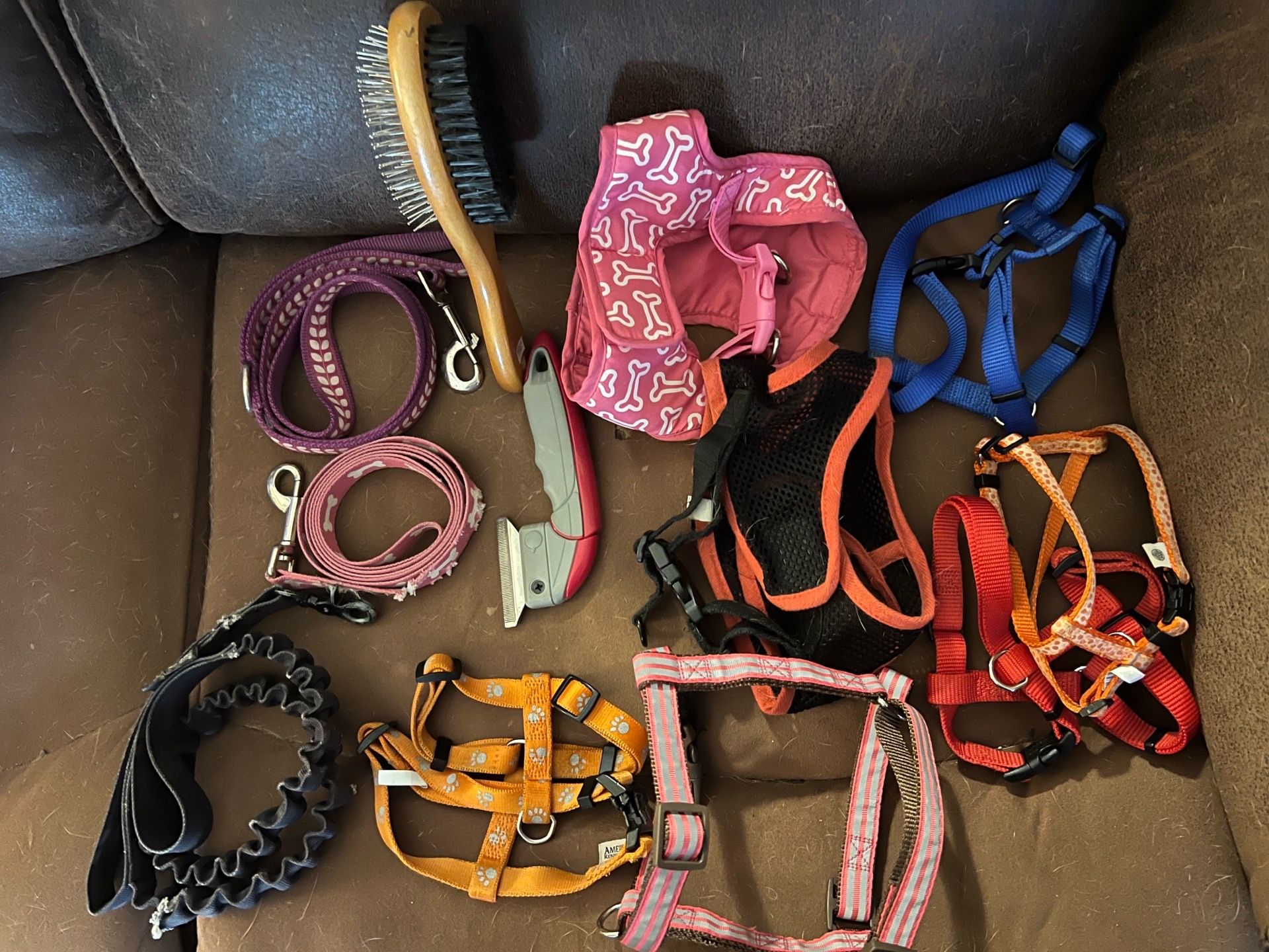 Lot of 12 Dog Items