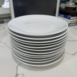Pier 1 Dinner Plates 