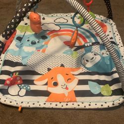 Newborn Play Mat Fisher Price 