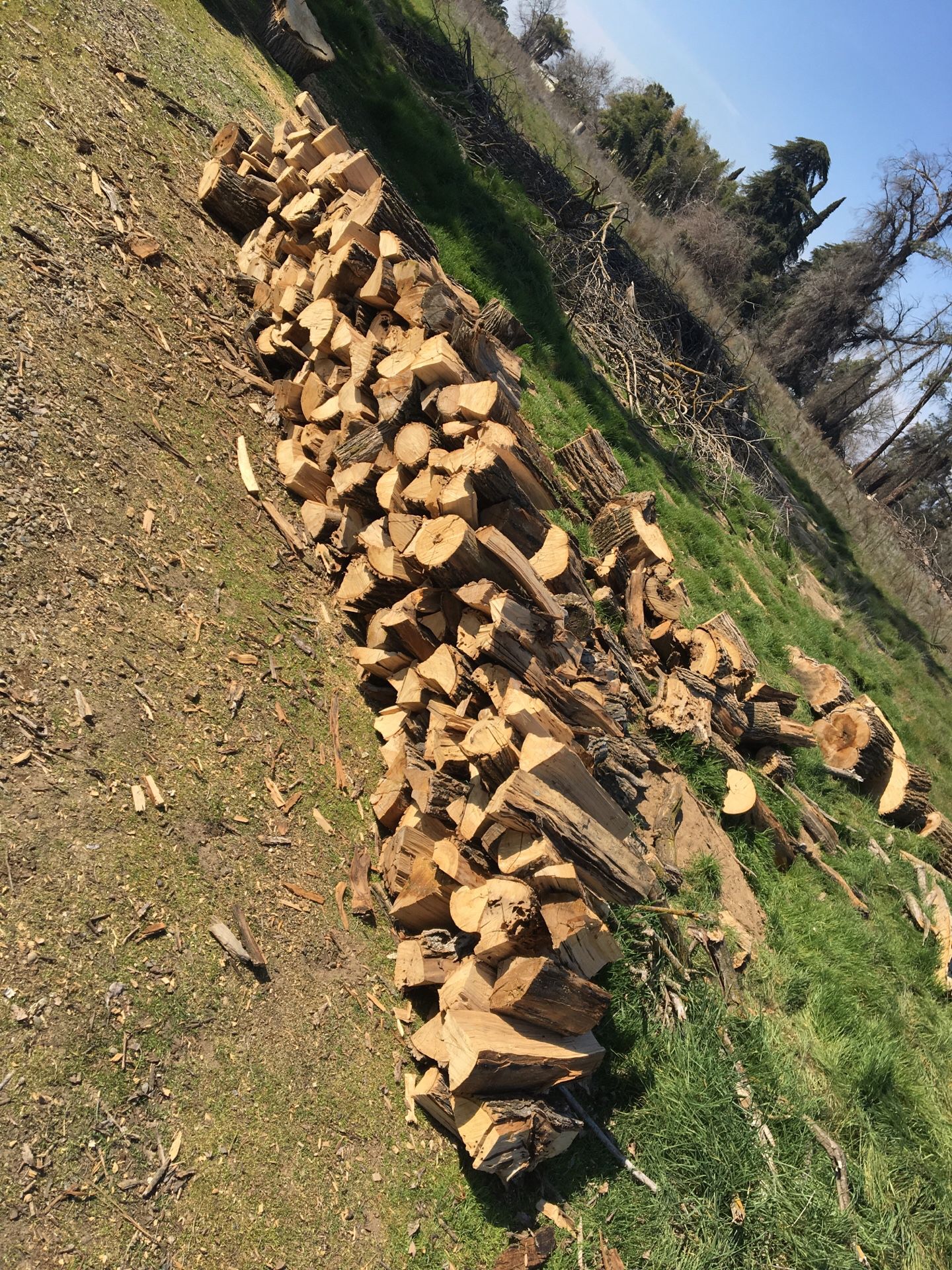 Seasoned firewood for sale come pick up $50 I’ll deliver for another $50. this wood has bug damage that’s why it’s so cheap I’ve added more wood