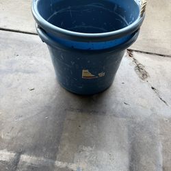 Storage Buckets 