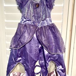 Halloween Costume Sofia Dress