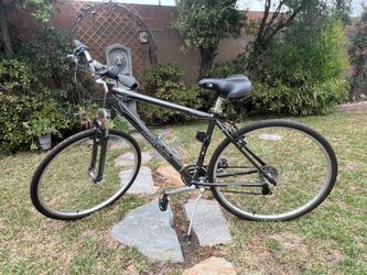 Nishiki Montour