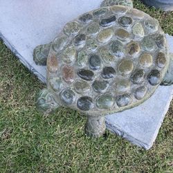 Stepping Stones- Turtle 🐢/ Piedras Para Caminar De Tortugas