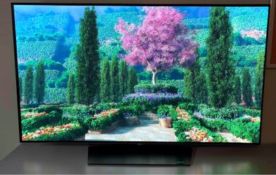 LG B6 OLED 4K HDR Smart TV 55" Class (OLED55B6P-U)