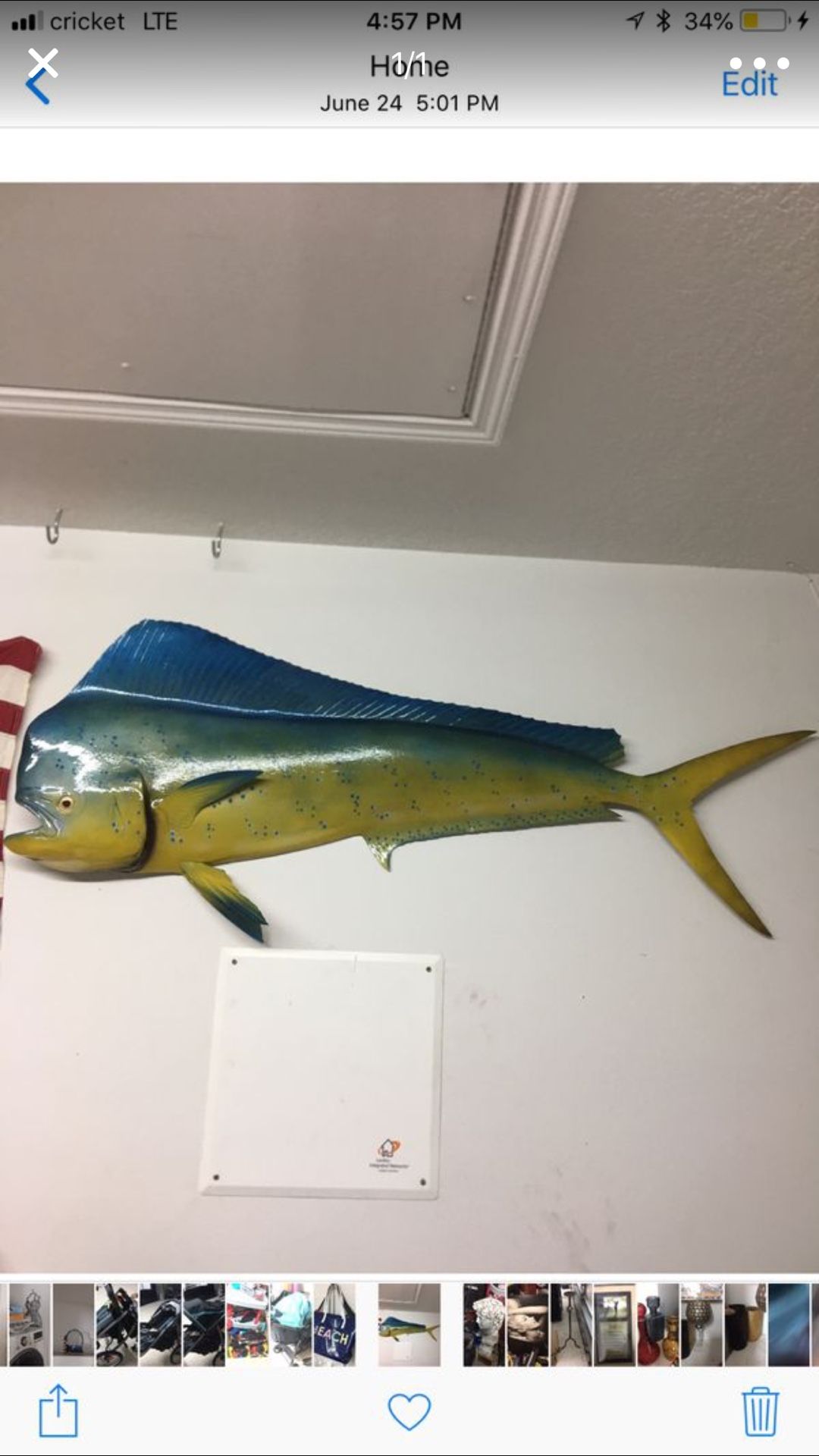 2d Wall mount mahi mahi s