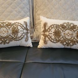 Set Of 2 Decorative Pillows - Like New