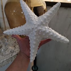 Ceramic Star Fish