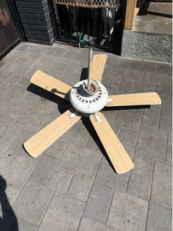 Fan