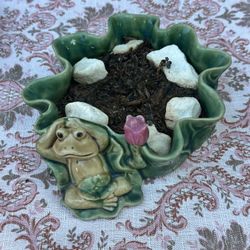 Frog 🐸 Plant 🌱 Pot